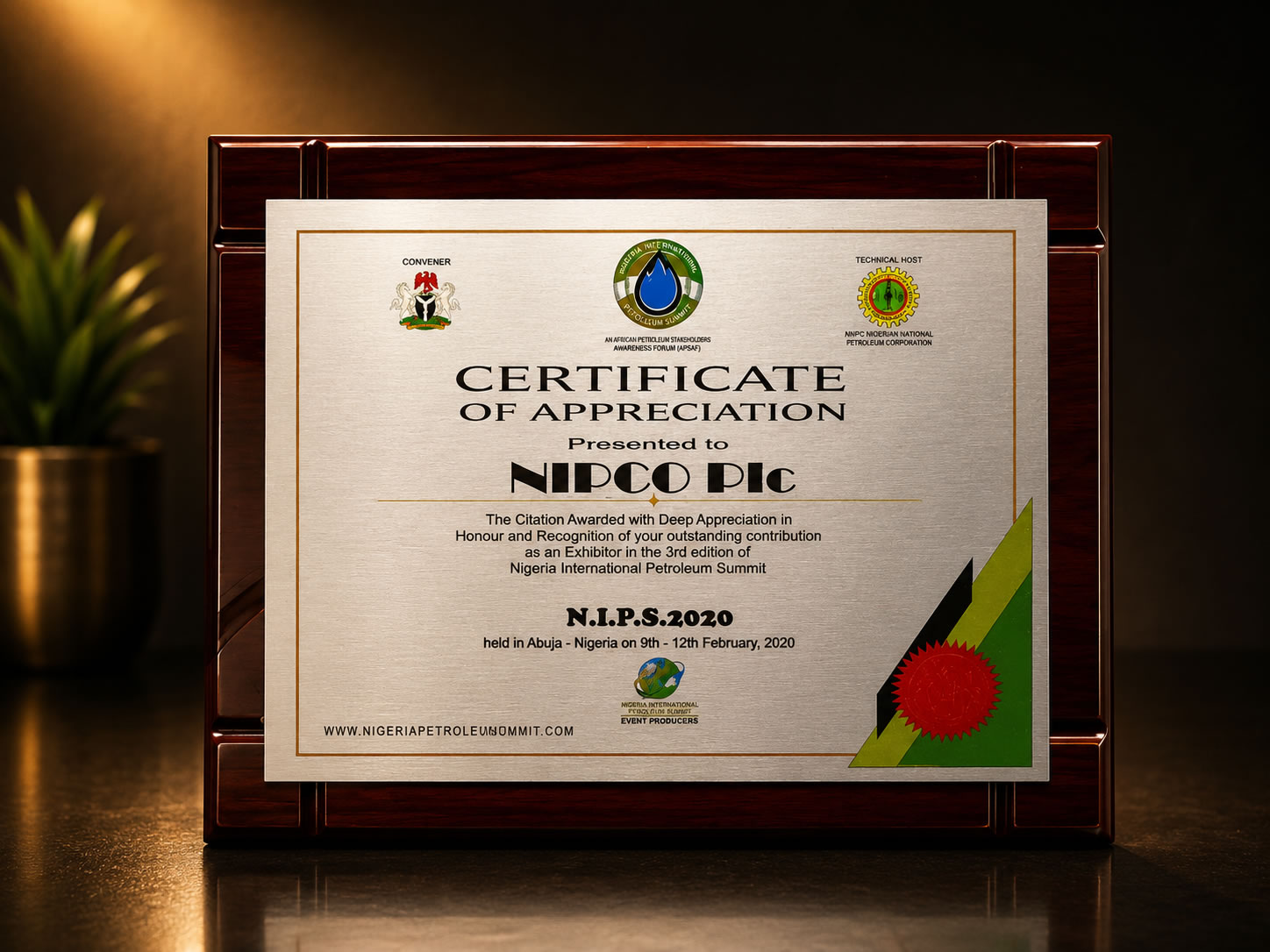 Certificate of Appreciation — NIPS 2020