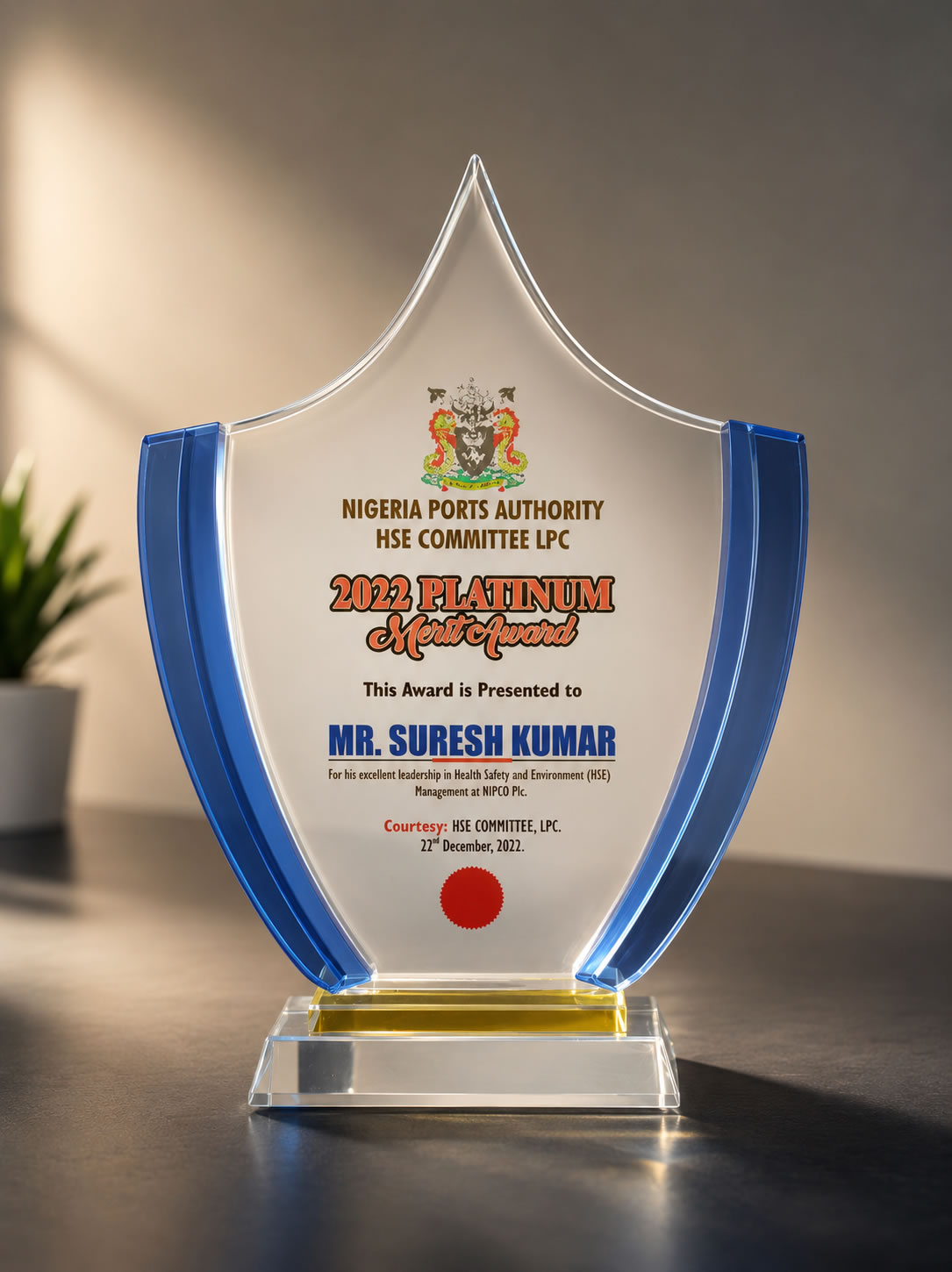 2022 Platinum Merit Award